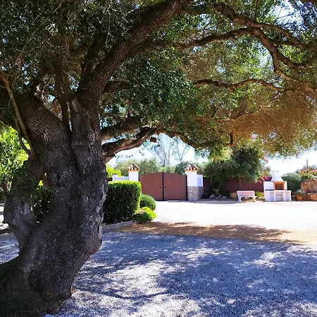 Holiday home Vivienda Rural Madronos Malcocinado (Andalucia)